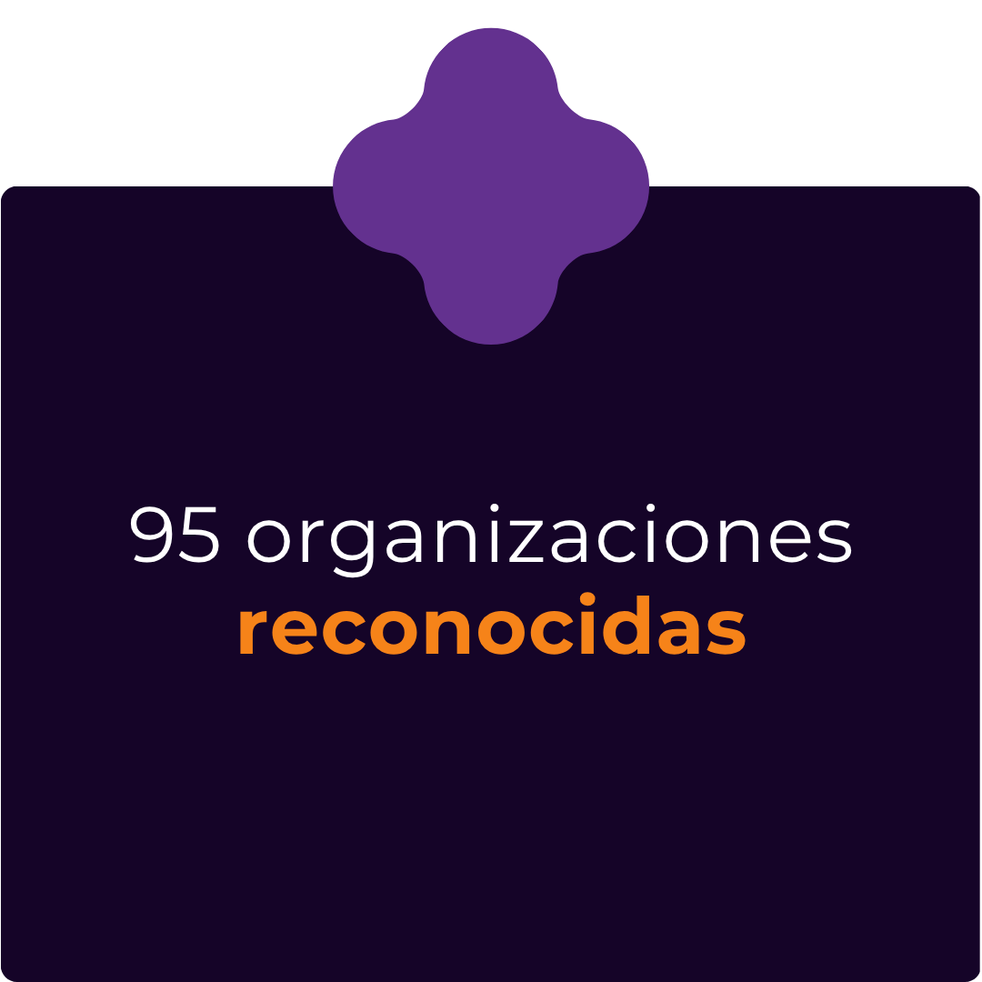 95 organizaciones reconocidas